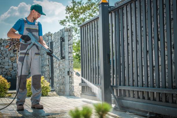 Best Sidewalk and Walkway Cleaning  in Ly Lake, IL