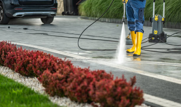 Lily Lake, IL Pressure Washing Services Company
